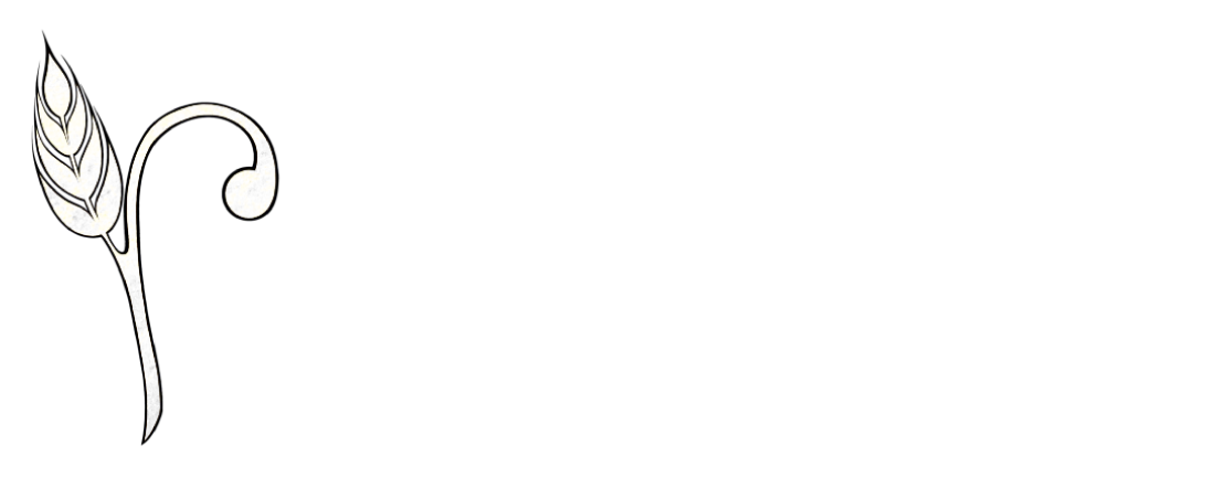 Rezidence Žitná